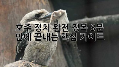 🇦🇺 호주 정치 완전 정복! 3분 만에 끝내는 핵심 가이드 ⏱️