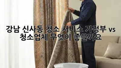 강남 신사동 청소 서비스: 가정부 vs 청소업체, 무엇이 좋을까요?