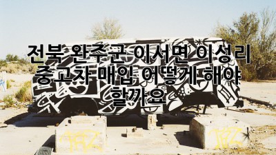 전북 완주군 이서면 이성리 중고차 매입, 어떻게 해야 할까요?