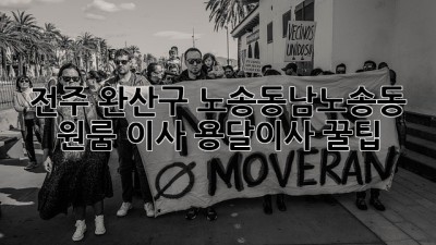 전주 완산구 노송동/남노송동 원룸 이사, 용달이사 꿀팁!
